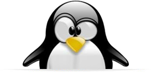 Google Penguin Services